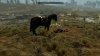 2012-02-15_00007.avif