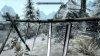 long_fishy.avif