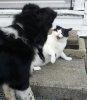 ImageUploadedByTapatalk1338935136.839613.avif