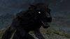 2013-08-27_00002.avif