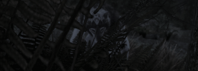 prey cc.png prey cc.png