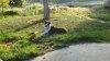 2012-04-22_18-07-40_12.avif