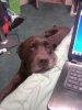 Snickers.avif