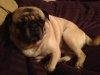 ImageUploadedByTapatalk1355439527.123897.avif