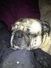 ImageUploadedByTapatalk1358286412.174525.avif
