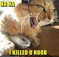 Noobking