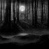 Grimm_Moon