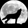 FrostWolf