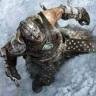 Nord_54