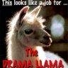 Llama