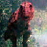 C-Rex
