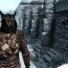 phantom cat