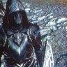 Dovah shenron 64