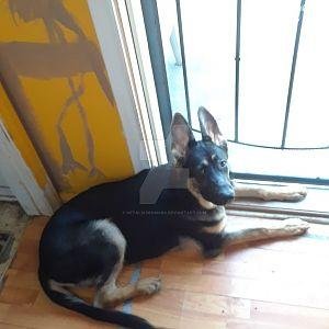 6_months_by_hetaliadenmark-dbfrq3l.jpg